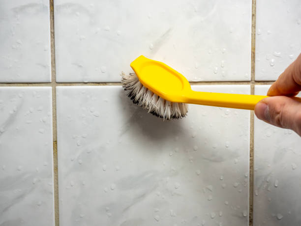 Best Mold Remediation Experts  in Stratford, WI